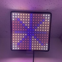 LED-лампа Светодиодная квадрат