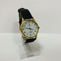 Наручные часы Perfect GX017-010-1