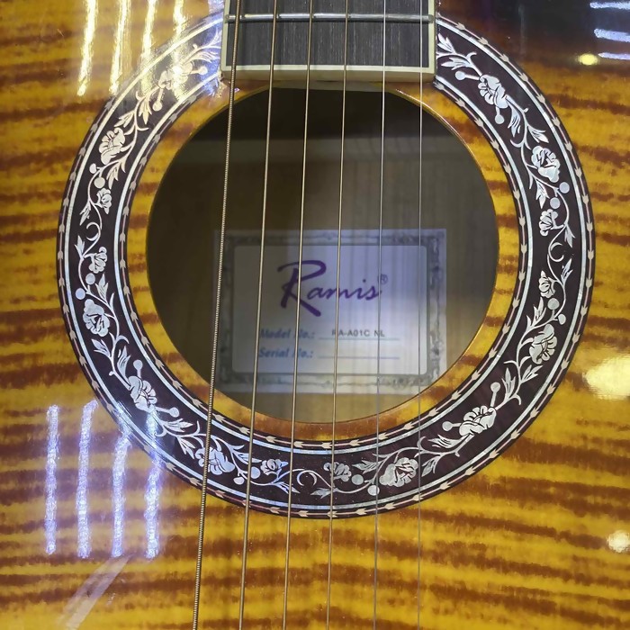 Гитара Ramis RA-A01C