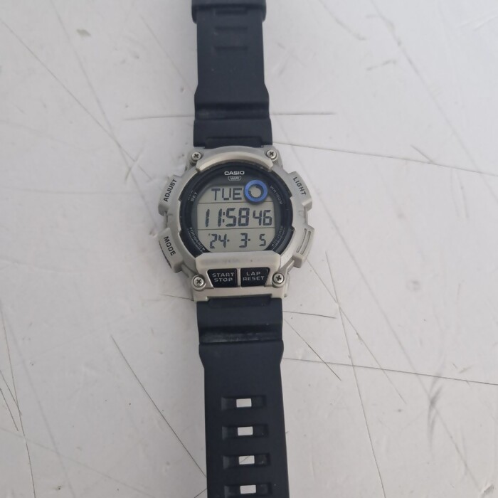 Наручные часы Casio WS-2100H