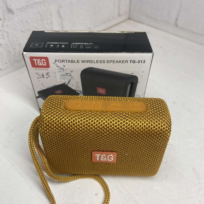 Портативная колонка T&G TG-113