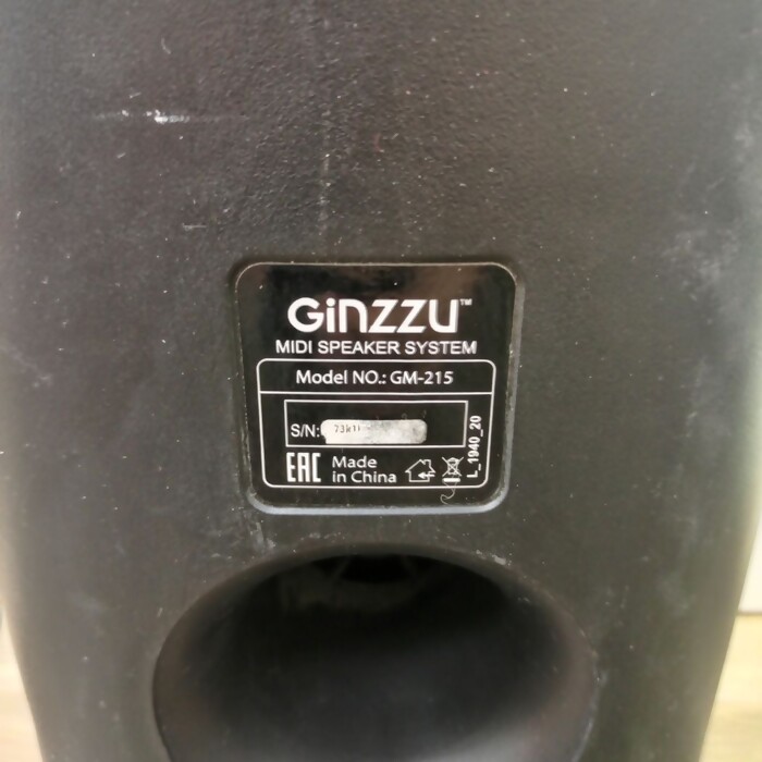 Портативная колонка Ginzzu GM-215