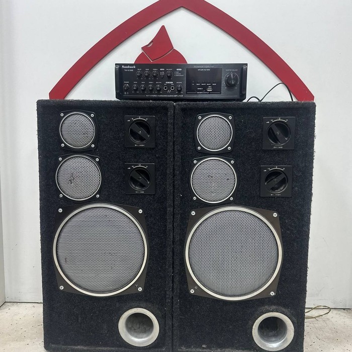 Колонки Radiotehnika S90  +усилитель Sunbuck TAV-6199E