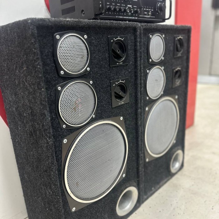 Колонки Radiotehnika S90  +усилитель Sunbuck TAV-6199E