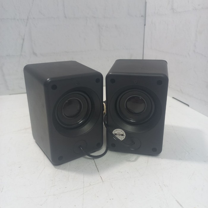 Колонки для дома Dexp R500