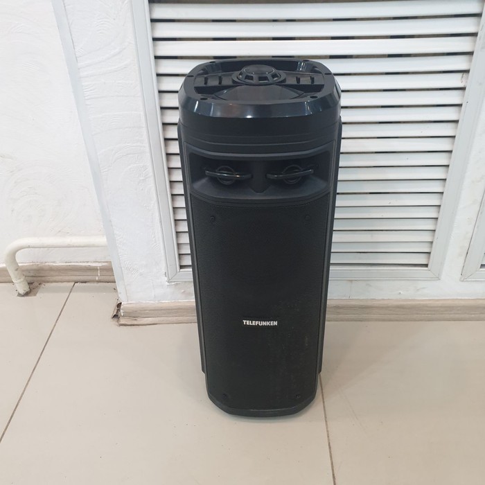 Портативная колонка Telefunken TF-MS3302B