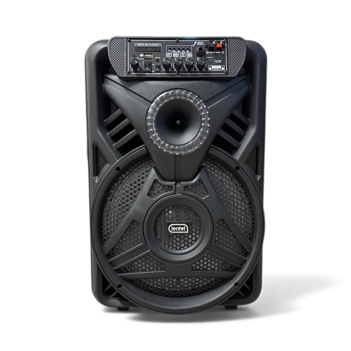 Портативная колонка Lentel C-TWE129