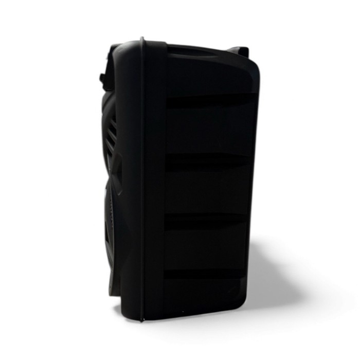 Портативная колонка Lentel C-TWE129