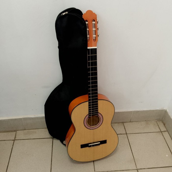 Гитара Homage LC-3911-N