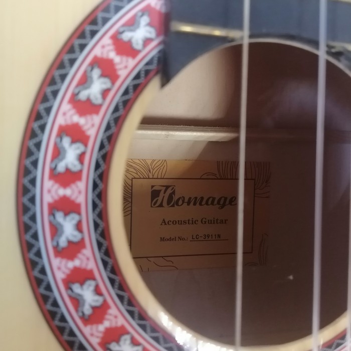 Гитара Homage LC-3911-N