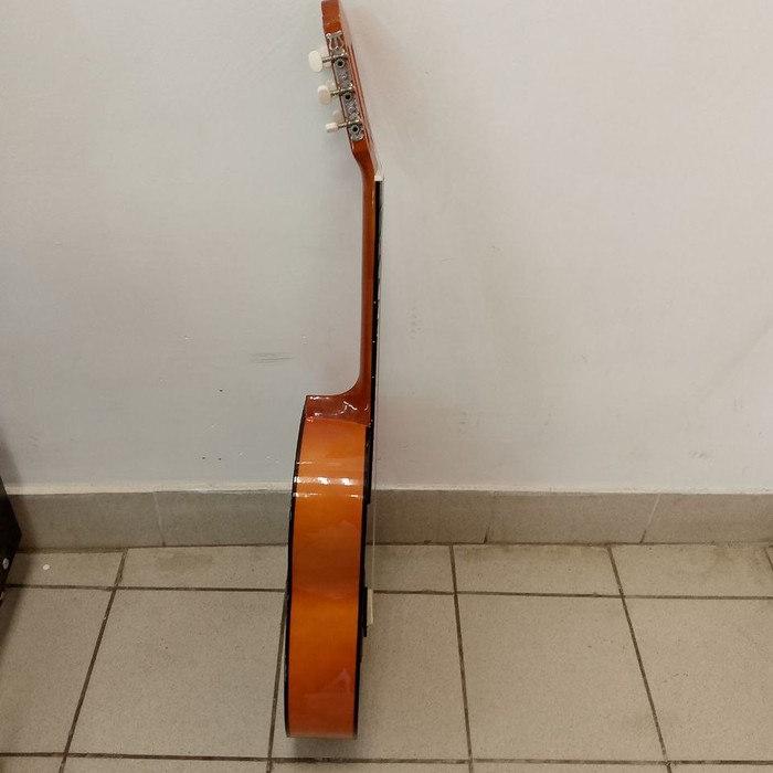 Гитара Homage LC-3911-N