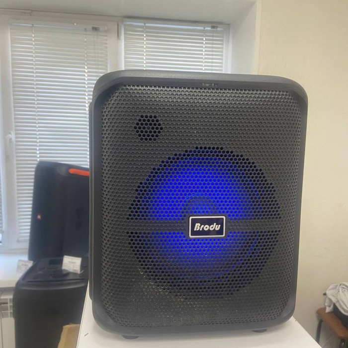 Портативная колонка Brodu BTS-1740