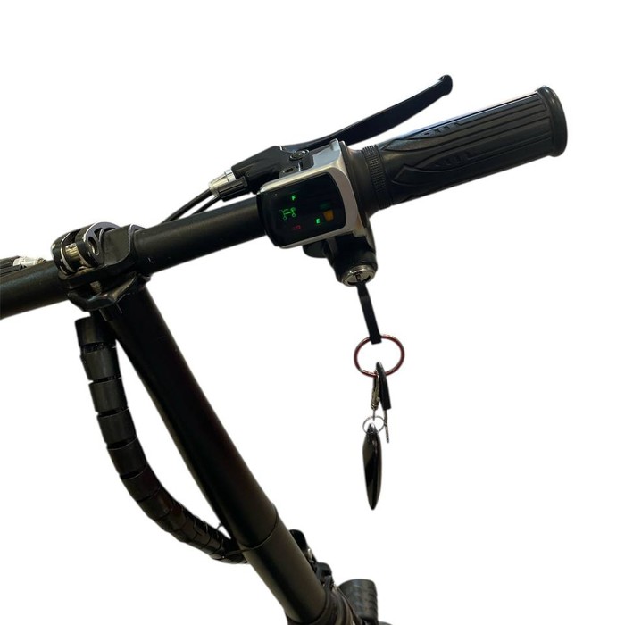 Электросамокат S201 -1