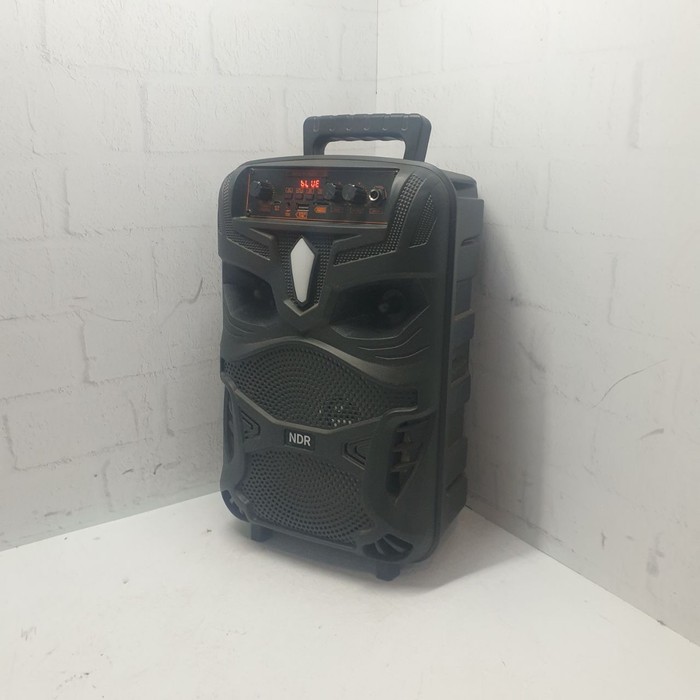 Портативная колонка NDR Dance BOX