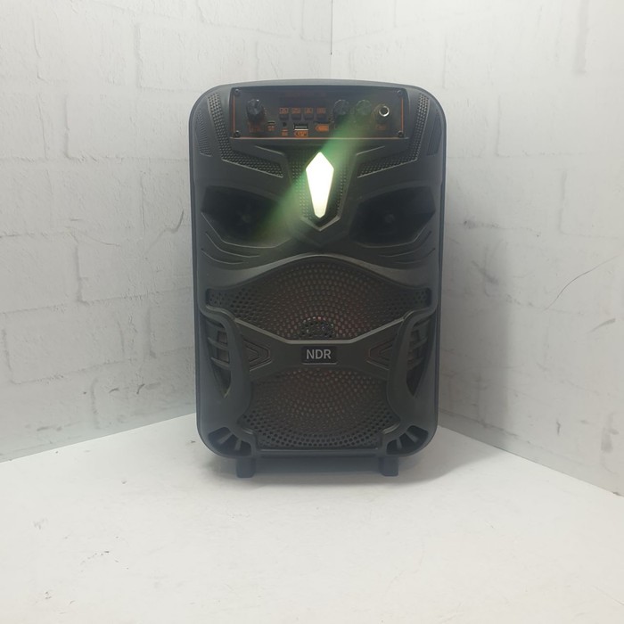 Портативная колонка NDR Dance BOX