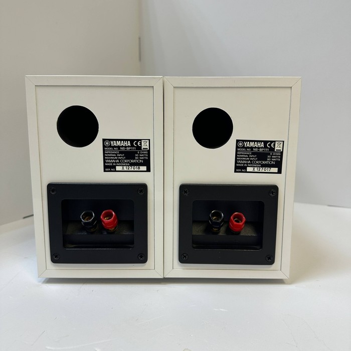 Колонки YAMAHA NX-E300