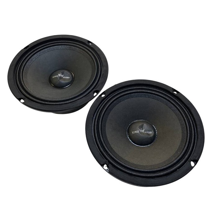 Колонки Kingz Audio WP-65
