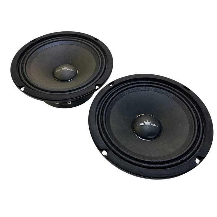Колонки Kingz Audio WP-65