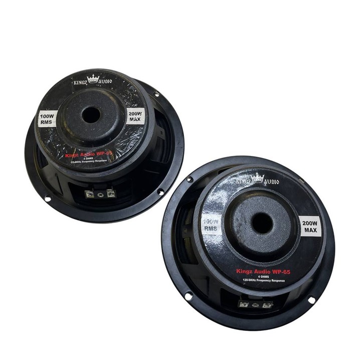 Колонки Kingz Audio WP-65