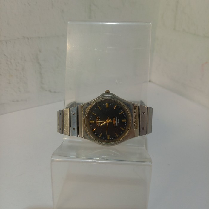 Наручные часы Citizen Eco-Drive