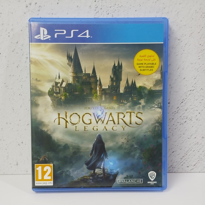Диск Sony PlayStation 4 Hogwarts legacy