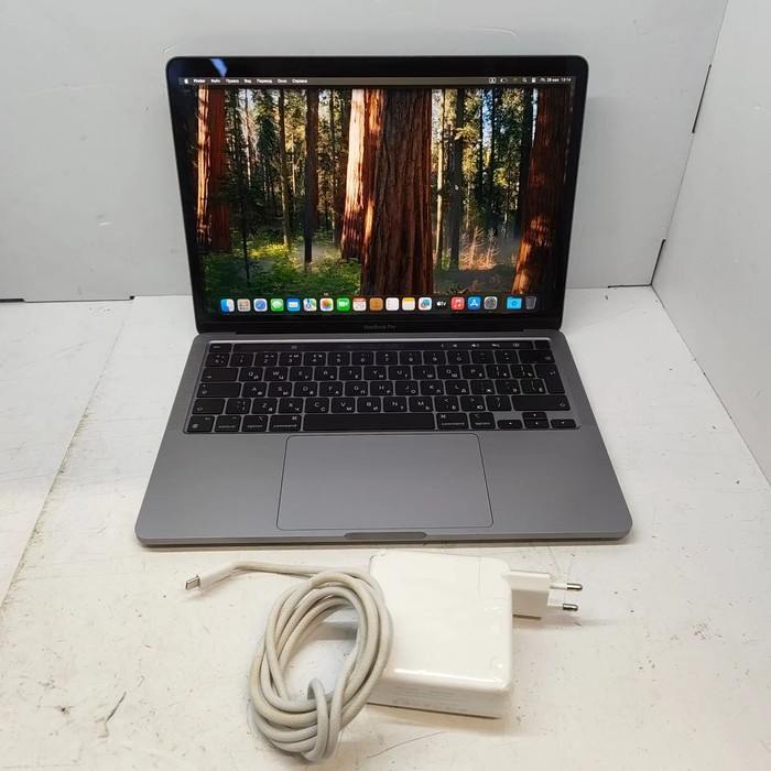 Ноутбук Apple MacBook Pro 13 (2022, M2)